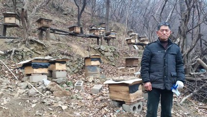 南召县乔端镇:养蜂“土专家”带动群众增收致富